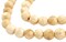 The Bead Chest Naga Conch Shell Beads - Full Strand of Genuine Natural Ocean Seashell Beads from Nepal (Round 10mm, Vintage)